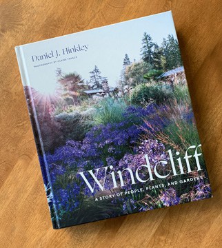 picture of Windcliff book cover