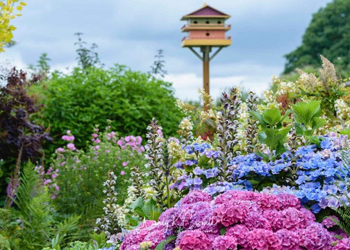 Bring a blanket and picnic lunch and enjoy the day at the Discovery Garden. Photo © Nancy Crowell Photography