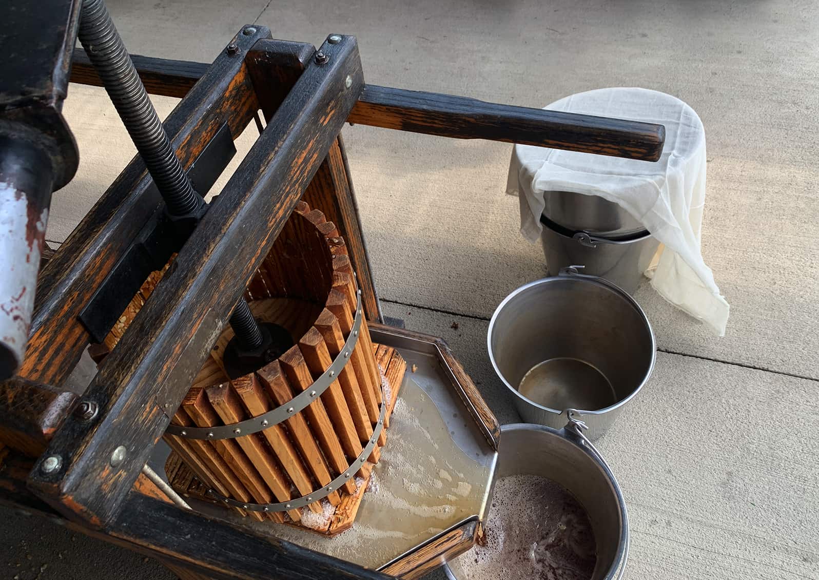 The press bears down on the milled apples to release the juice which flows into food grade containers-in this case, stainless steel buckets. © Ginny Bode