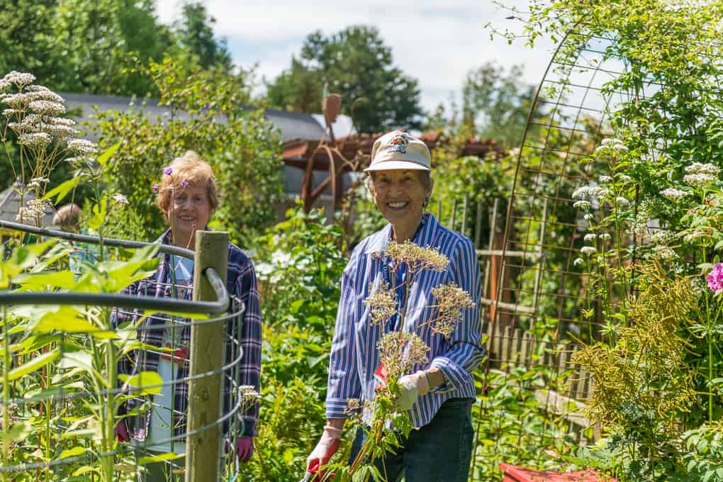 Gardeners know from experience the benefits they feel being in a gardens. These moments are what keep us going back season after season, sharing the joy of a nurtured landscape. © Nancy Crowell Photography