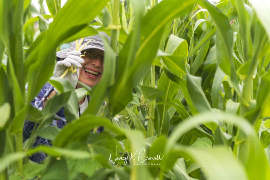 Seeing plants grow and thrive under our guidance leads to feelings of accomplishment for our efforts. © Nancy Crowell Photography