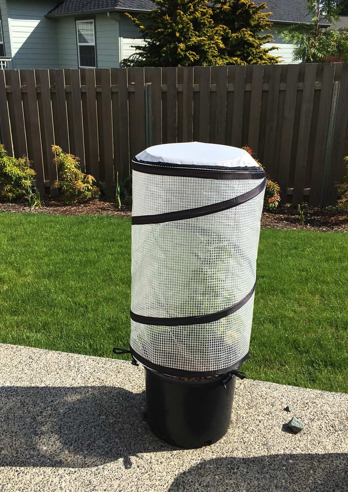 This cover stores flat and pops up to form a cylinder around a container or a plant to keep it warm and protect against the wind.  The top mesh unzips for ventilation and rainfall. Photo © Hallie Kintner