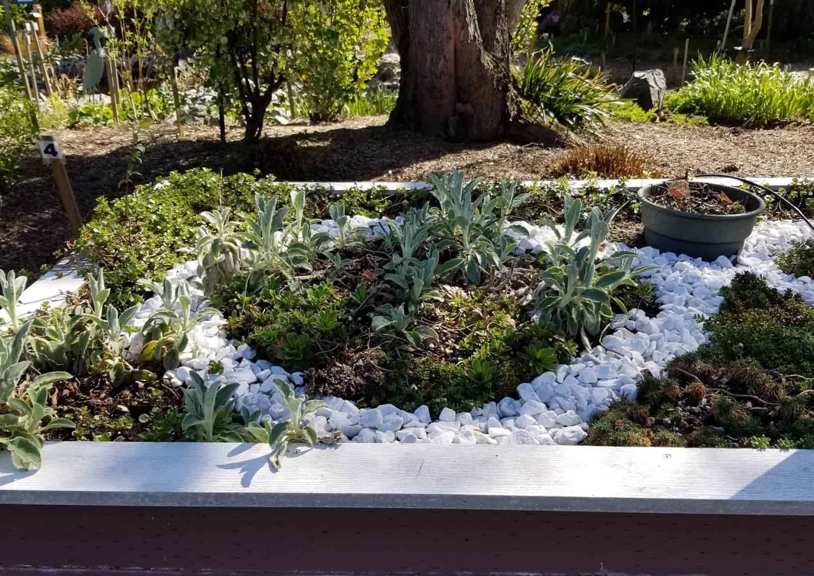 white rocks in raised bed garden