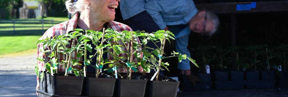 woman carrying plants