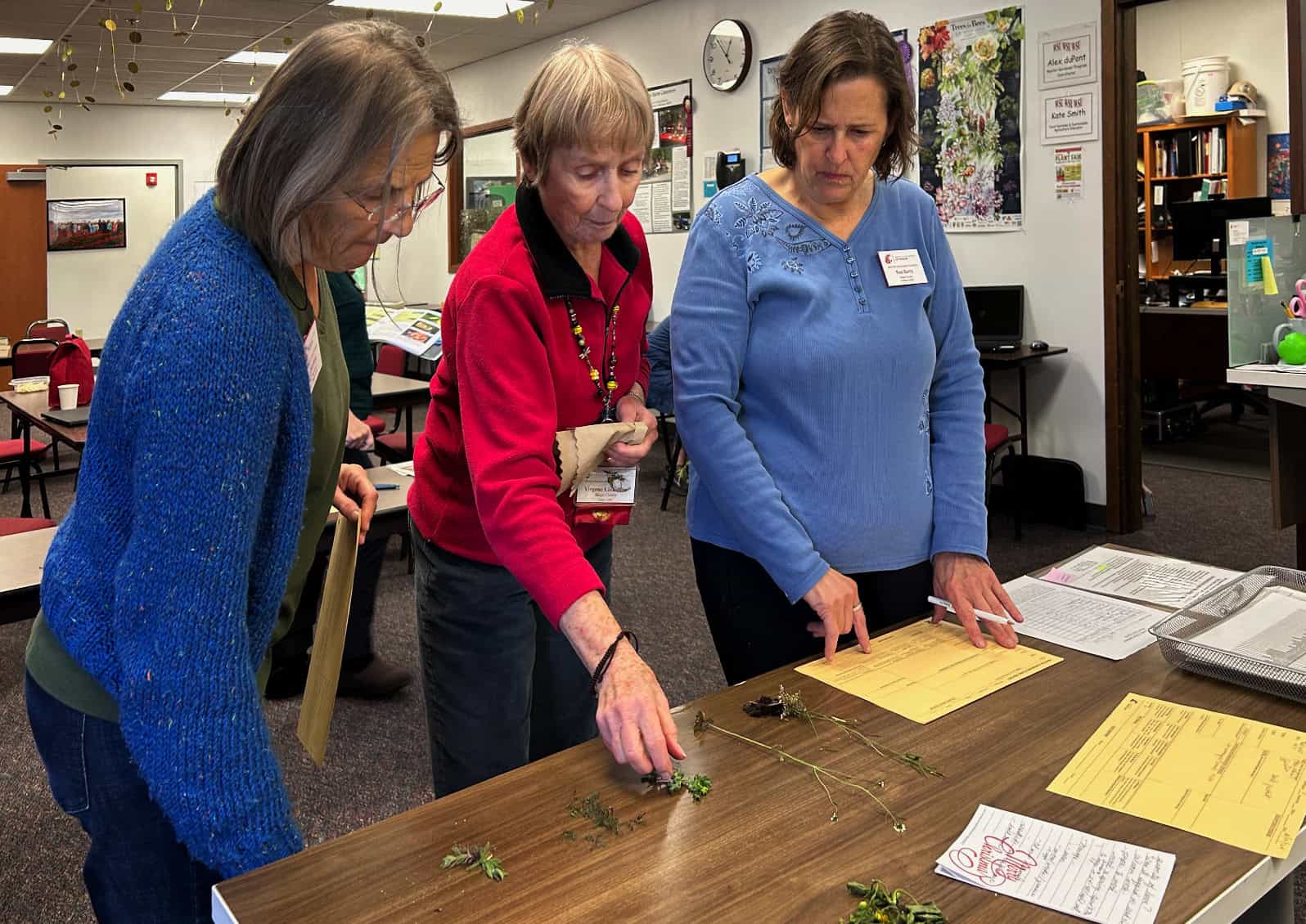 plant clinic volunteers identifying weeds