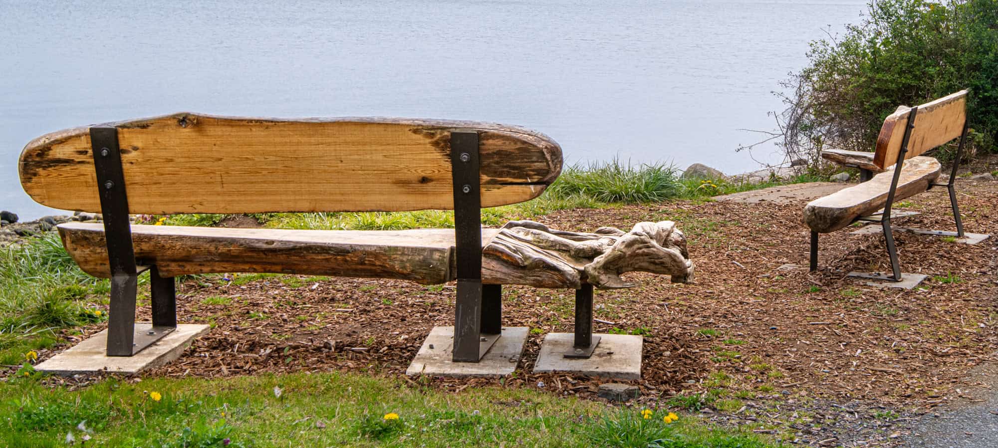 driftwood bench by trail with water in the background