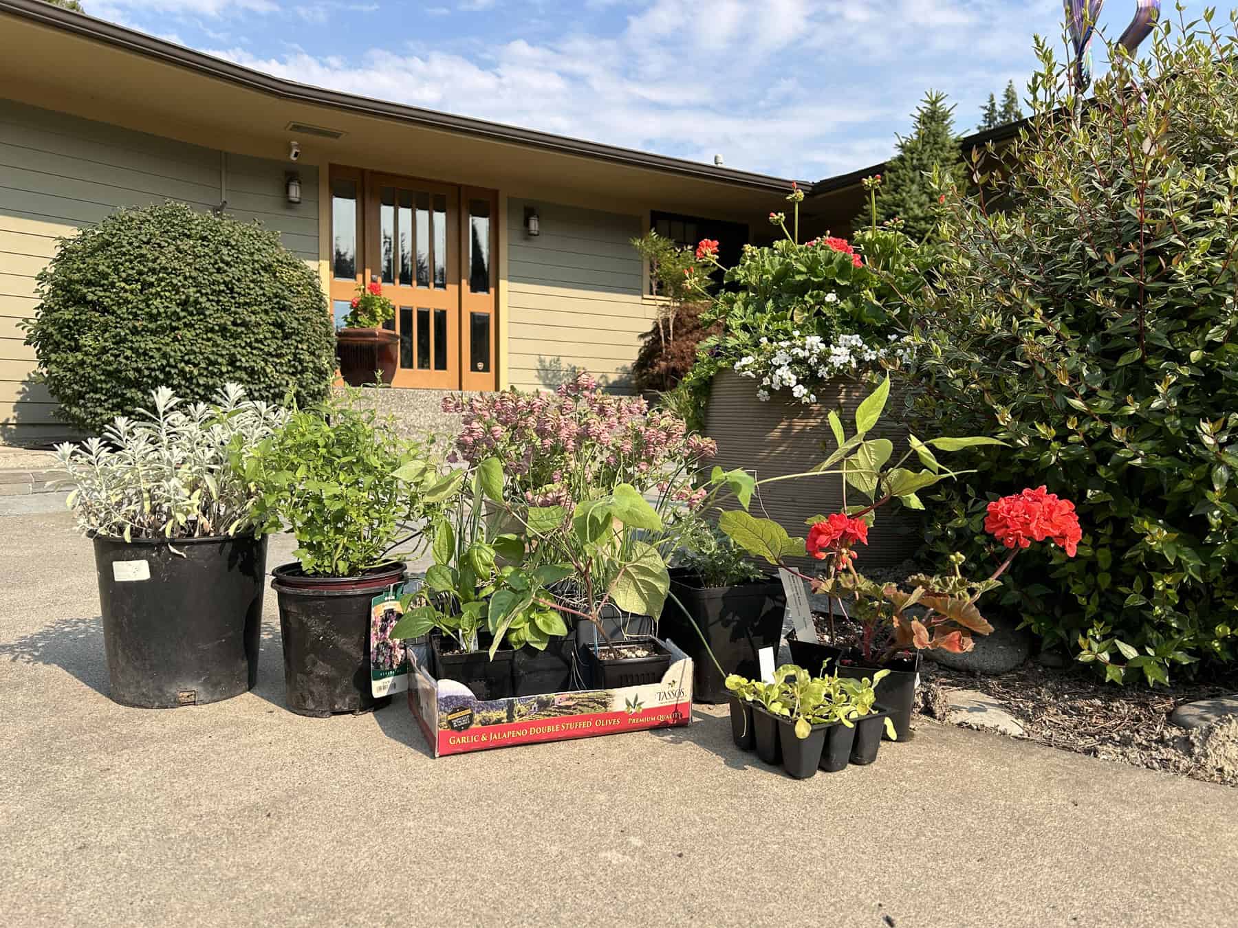 PLANT YOUR PLANTS! Don't let them languish on the driveway.
© Photographer: Ginny Bode
