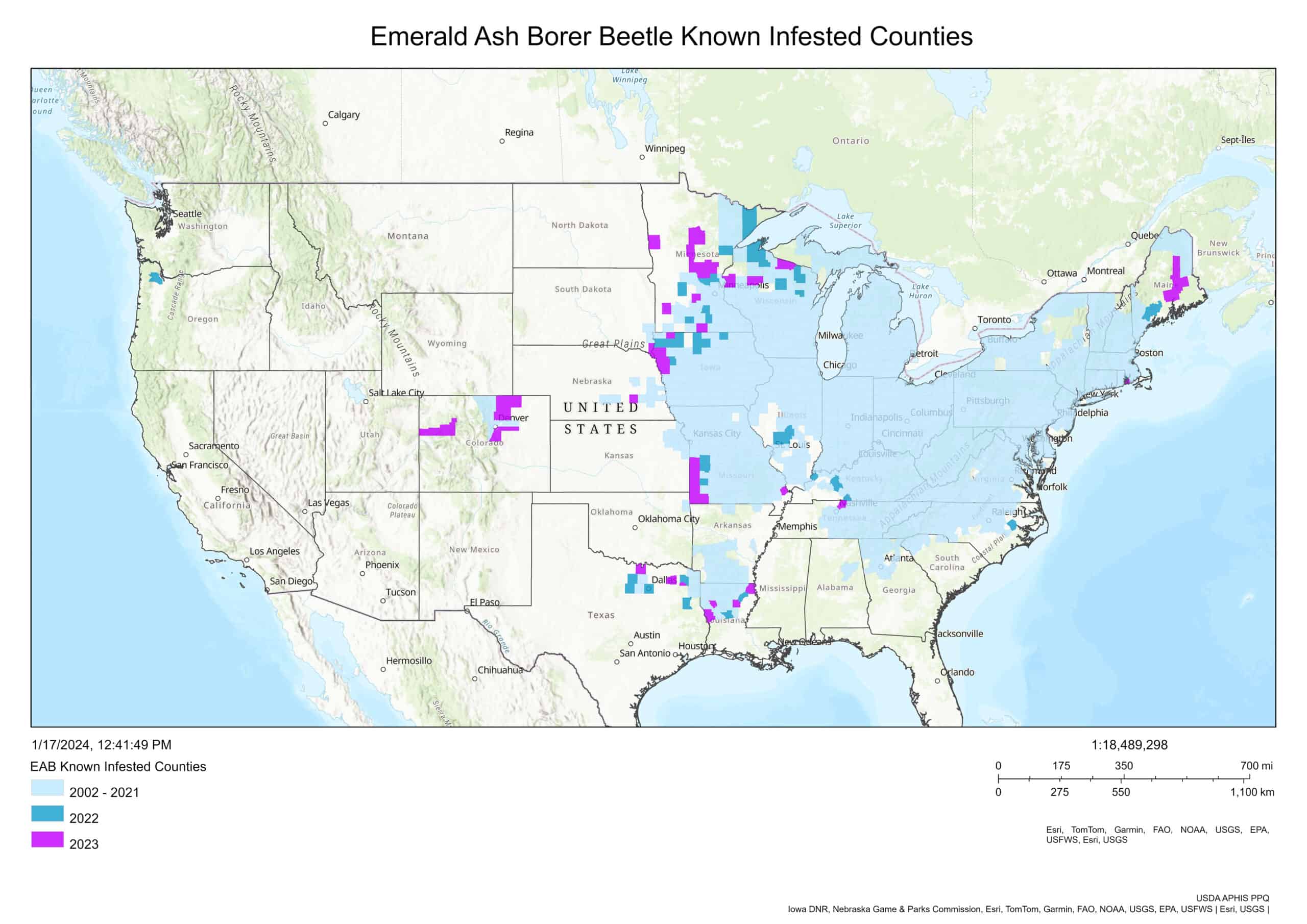 Emerald ash borer infestation map © USDA Aphis