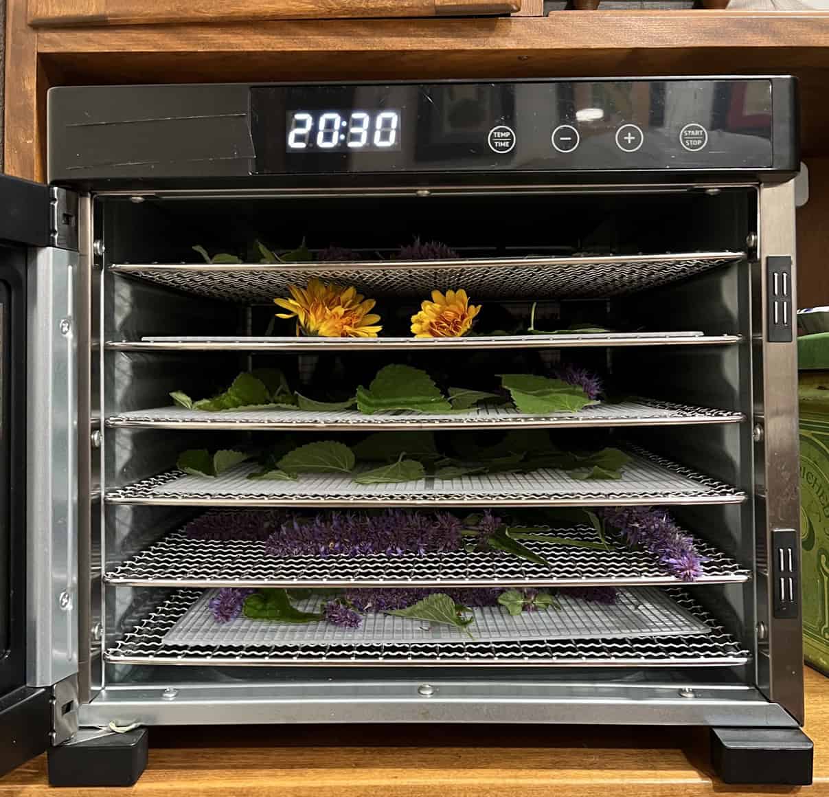 Dehydrator full of racks of calendula and anise hyssop. © Photographer: Laura Kuhn