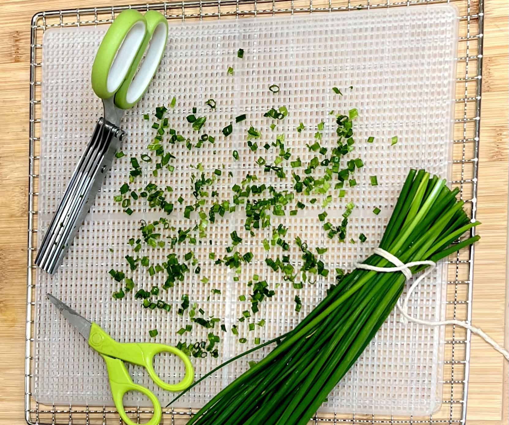 Bunching and cutting chives to cut and freeze or dry. © Photographer: Laura Kuhn