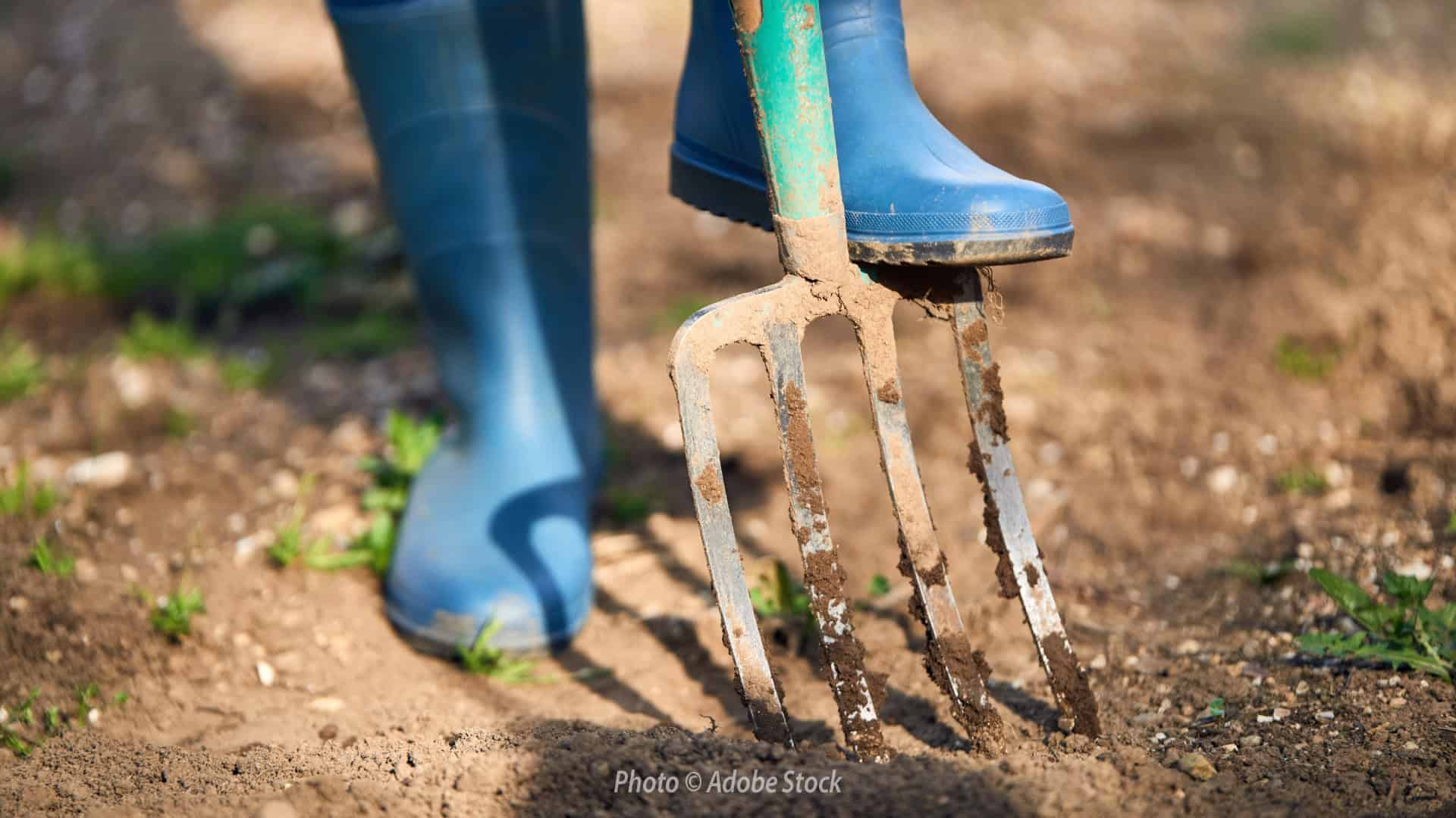 person in boots digging a garden fork nto soil