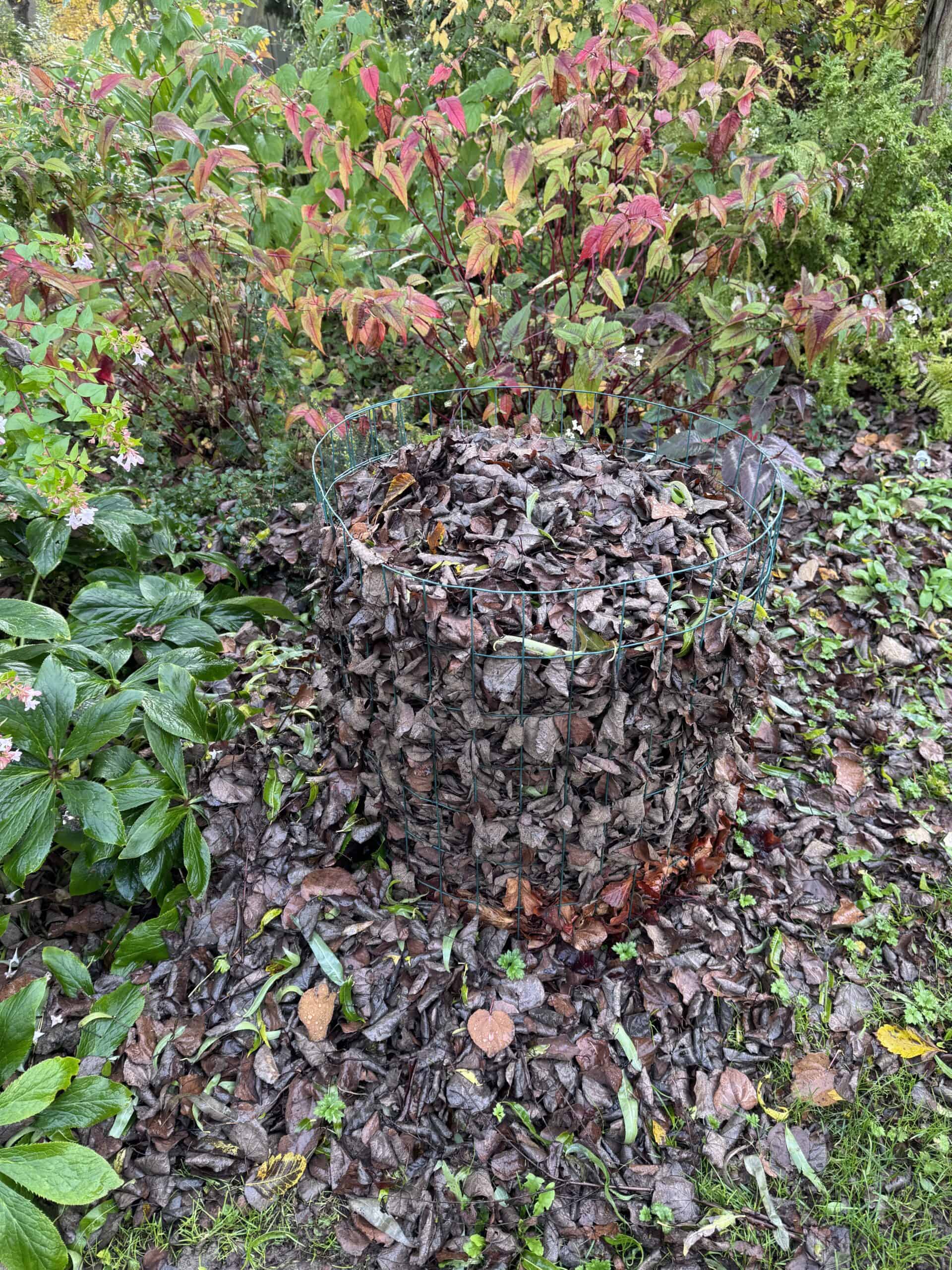 Cold compost bin in Joe's Place