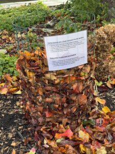 Cold Composting bin in Four Seasons Garden