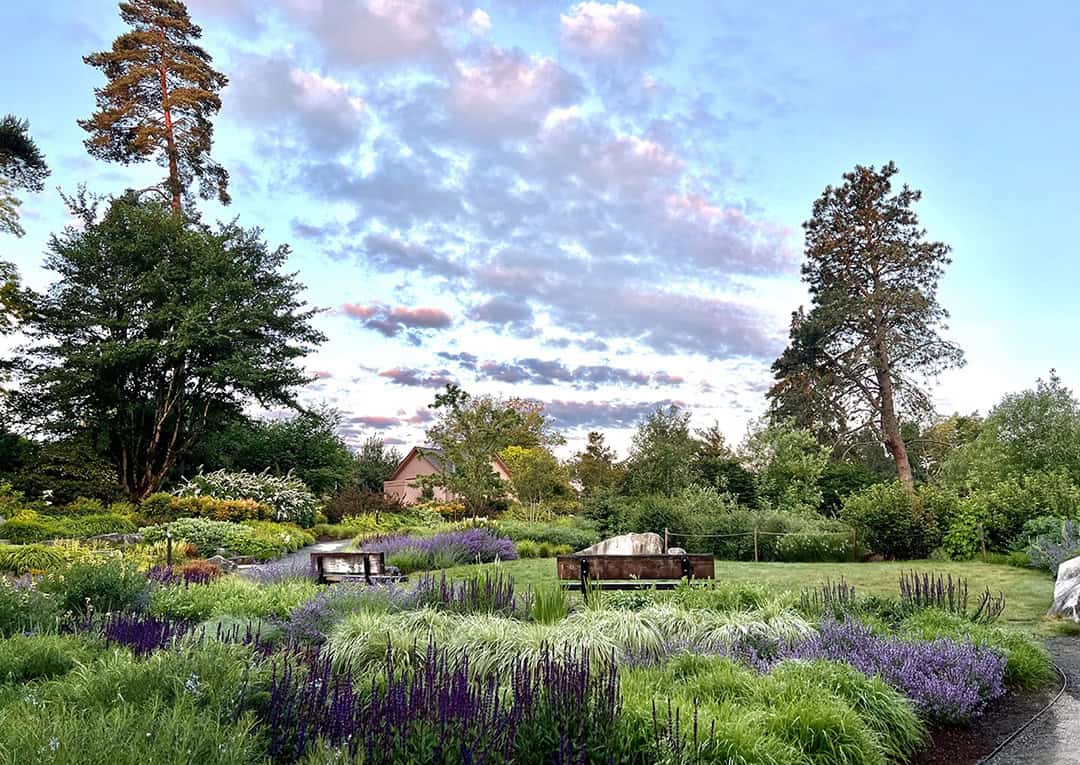 Urban Meadow at Bellevue Botanical Garden Photo © James Gagliardi, Bellevue Botanical Garden Director