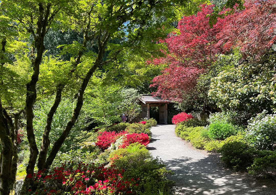 Yao Garden at Bellevue Botanical Garden Photo © James Gagliardi, Bellevue Botanical Garden Director