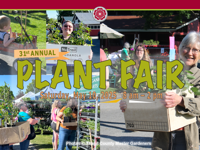 Plant Fair 2025
