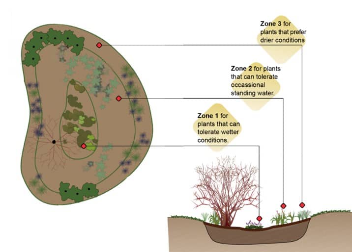 When finished, landscaping in wet areas may look much like a rain garden planting; the difference is in the underlying soil type.