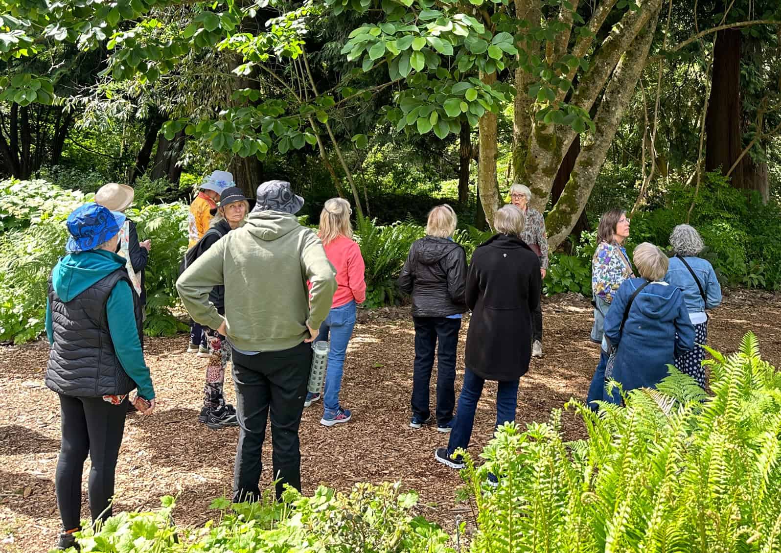 Skagit County Master Gardeners take day-long field trips to botanical gardens.