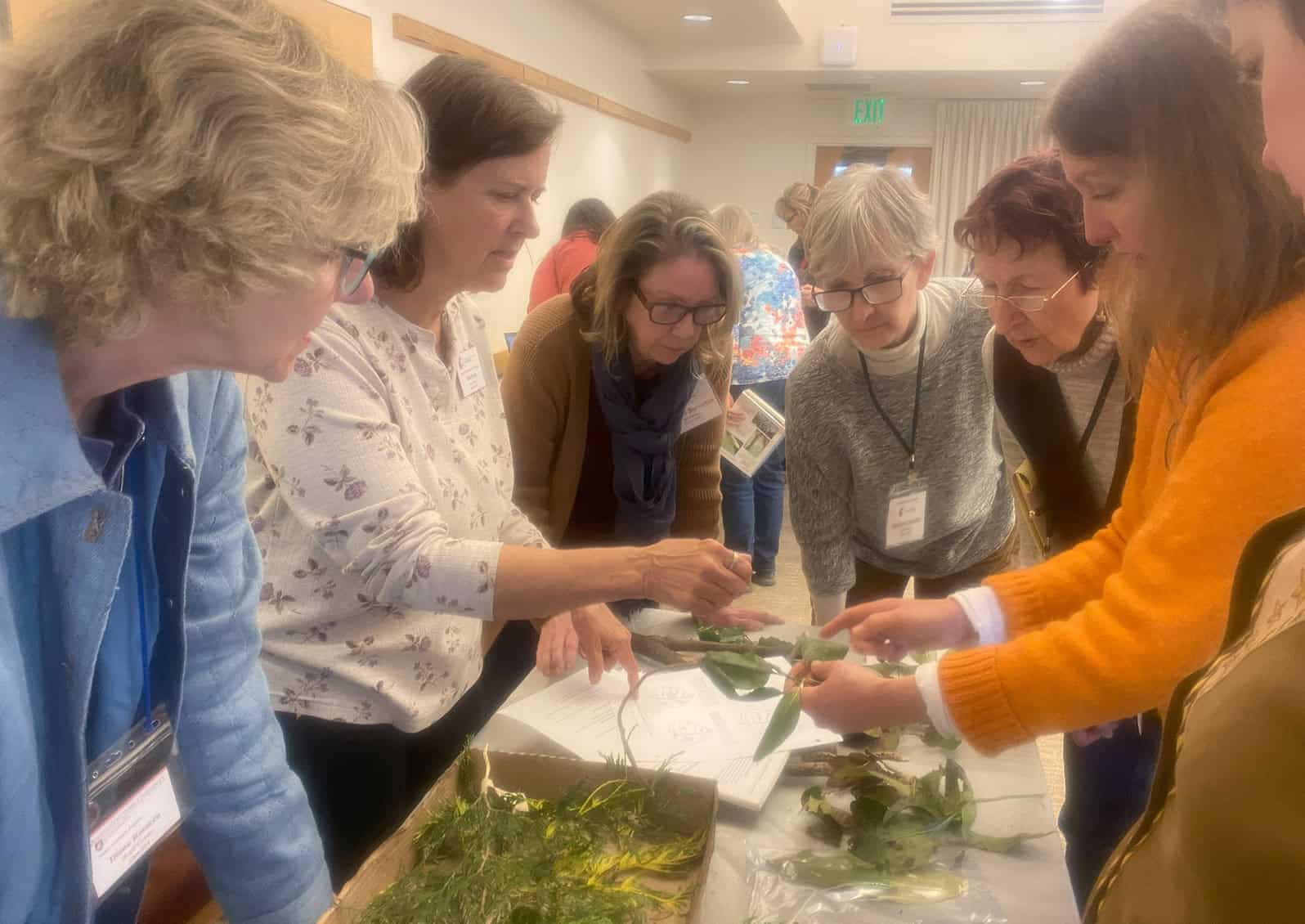 In addition to Washington Green School training, Skagit County Master Gardener interns will receive in-person training on various topics.