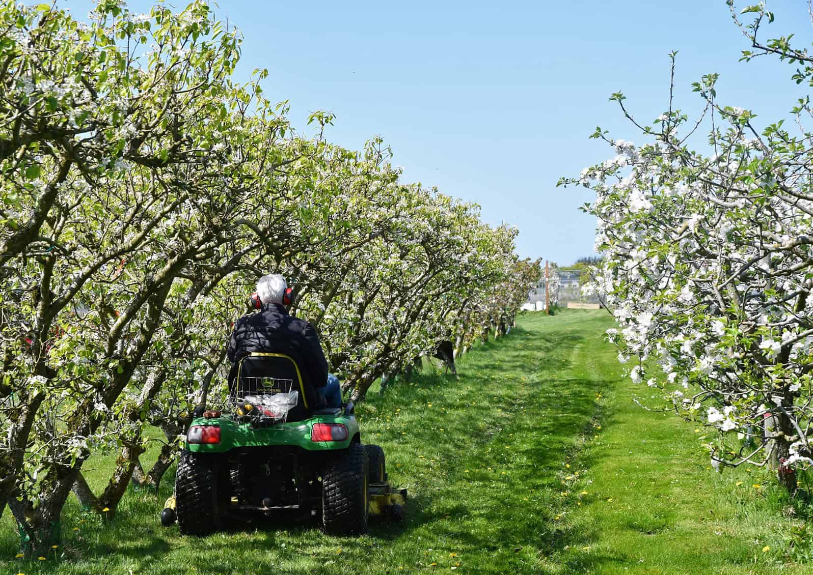 The NW Fruit Garden encompasses six acres of fruit trees, berry bushes and other fruit-bearing plants, along with nut trees. Altogether, the garden features 606 plants - from peach and persimmon to apples and Asian pears. Credit: Used with permission © Scott Terrell