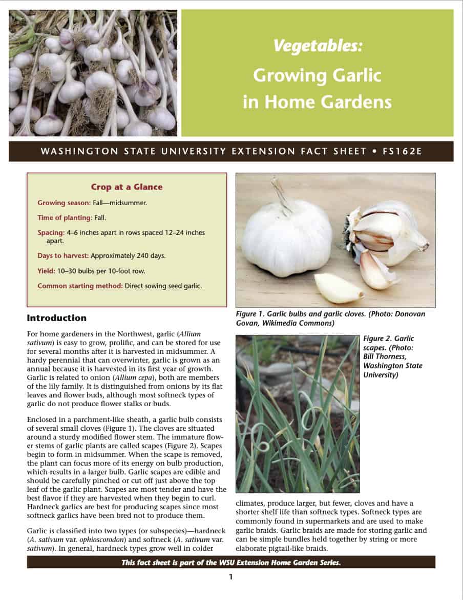 Picture of cover of WSU fact sheet