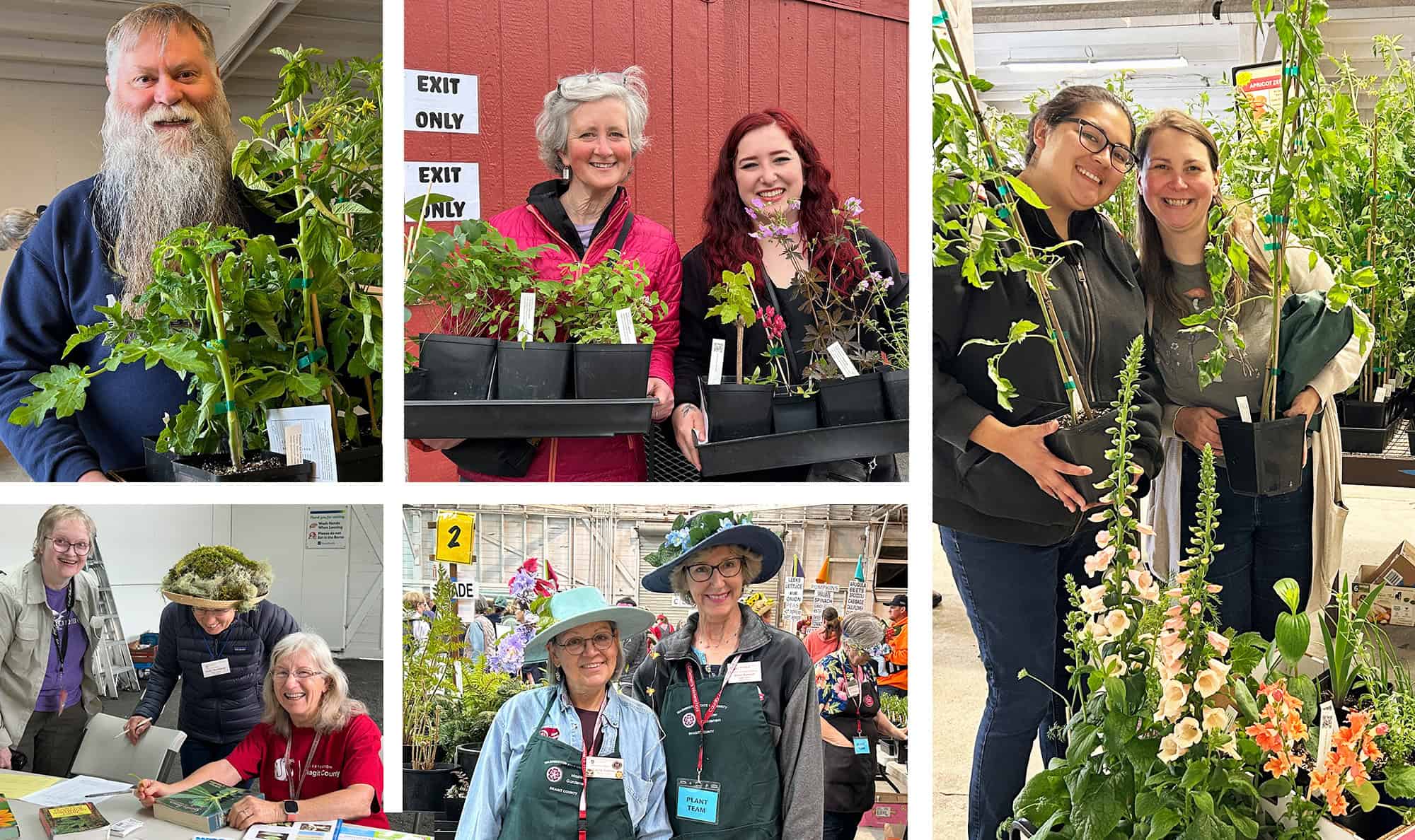 multiple photos of plant fair customers