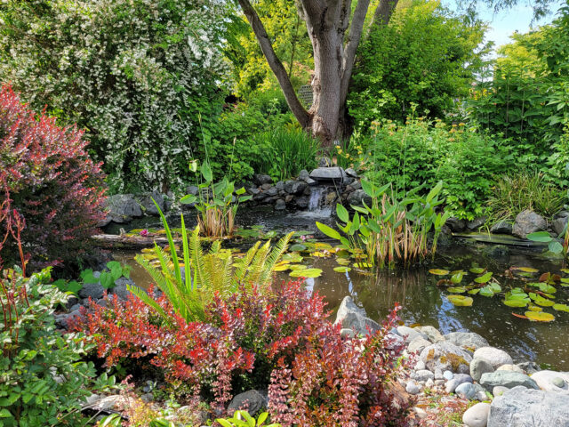 Water Features