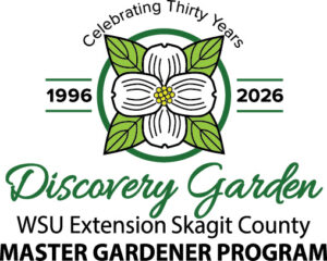 logo with white dogwood flower
