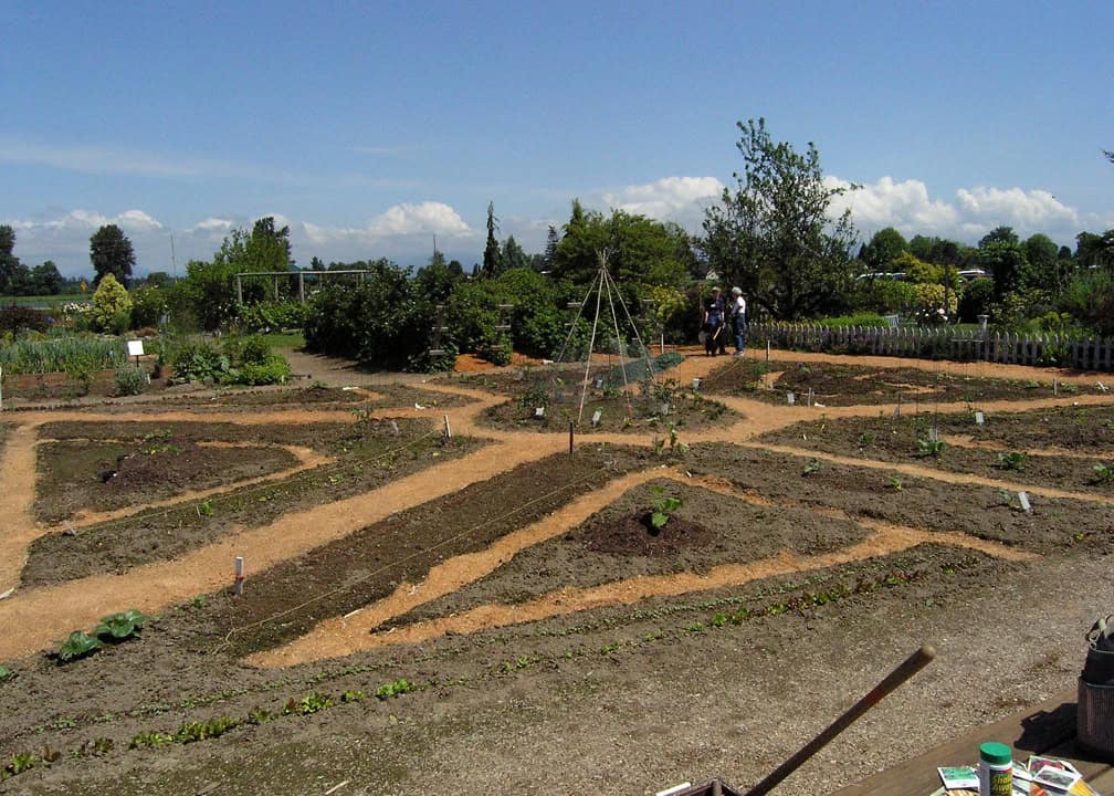 26_0619_pic3 garden marked out in dirt field