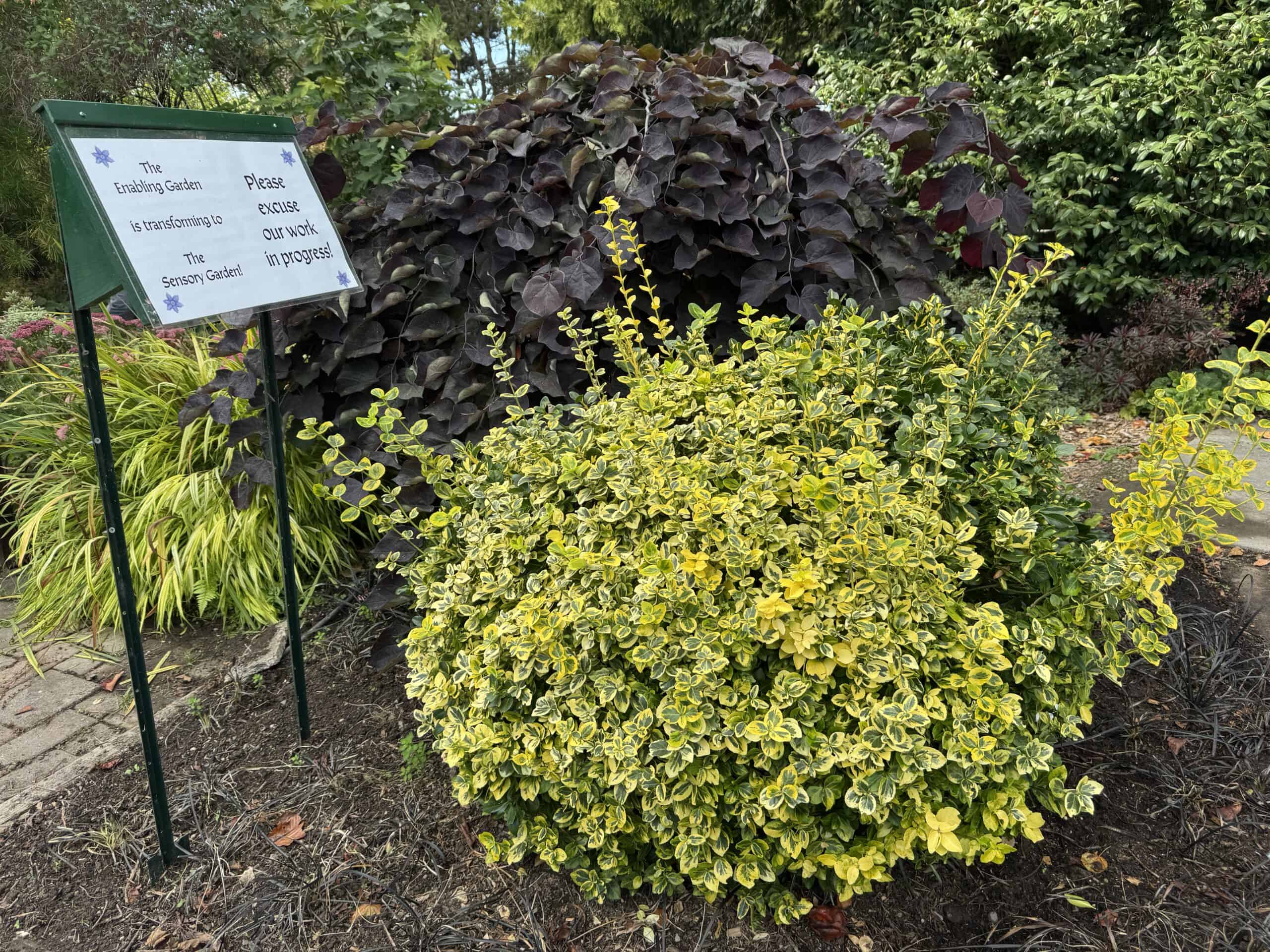 Sign in Sensory Garden