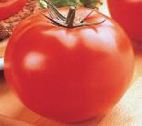https://www.skagitmg.org/wp-content/uploads/Public-Pages/Tomato/TomatoVarietyPix/BigBeef.jpg