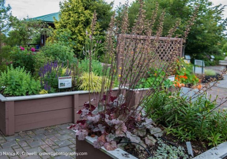 shows multiple raised bed gardens and terrlis
