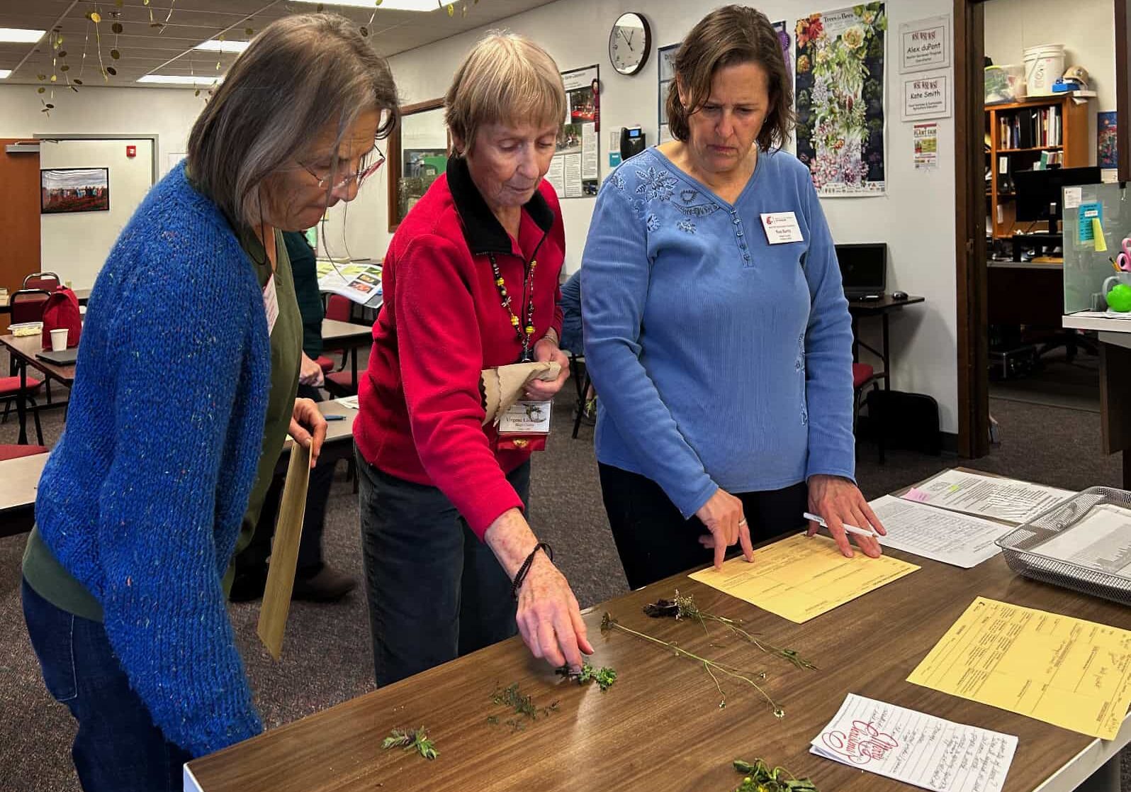 050324_pics5 plant clinic volunteers identifying weeds