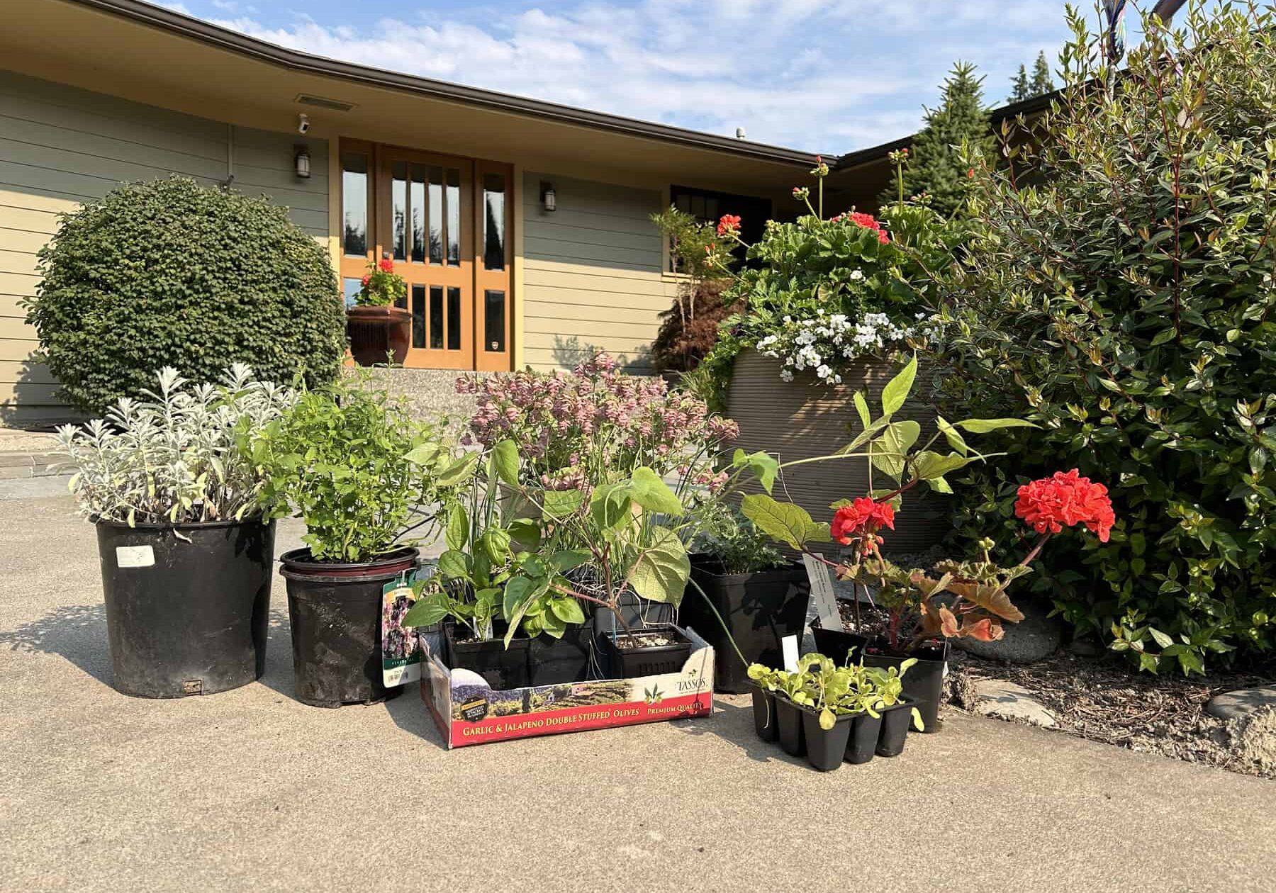 PLANT YOUR PLANTS! Don’t let them languish on the driveway.
© Photographer: Ginny Bode
