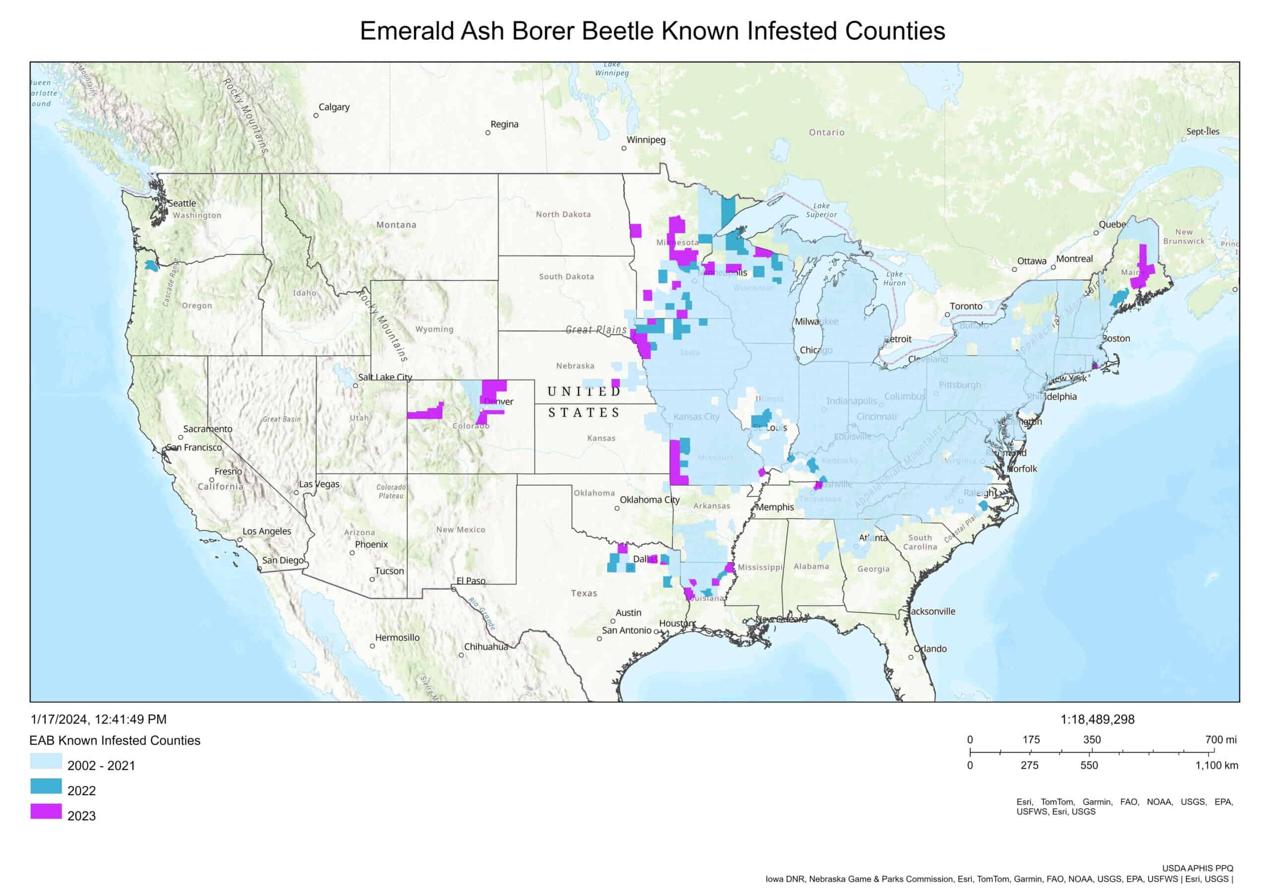 Emerald ash borer infestation map © USDA Aphis