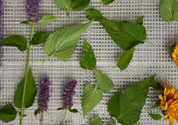 090224_Header2