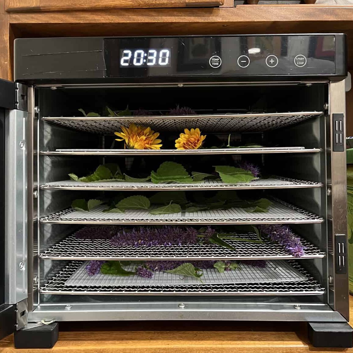 Dehydrator full of racks of calendula and anise hyssop. © Photographer: Laura Kuhn