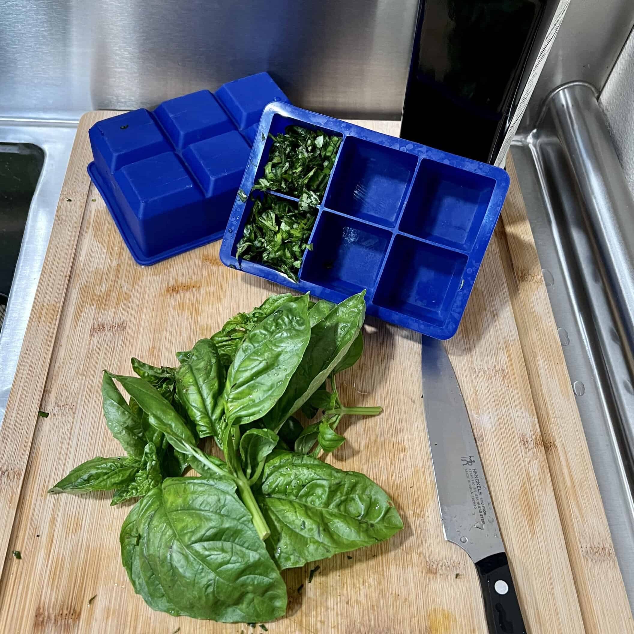 091624_6_7947 Fresh chopped basil freezes well when packed in ice cube trays then filled with water or oil. Once frozen, the basil cubes can be stored in a large freezer bag and used as needed. © Photographer: Laura Kuhn