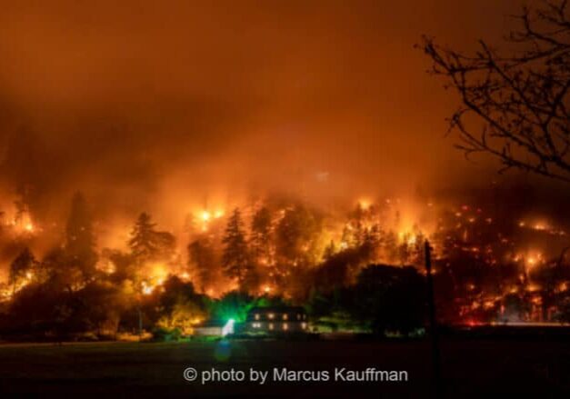 picture of wildfire