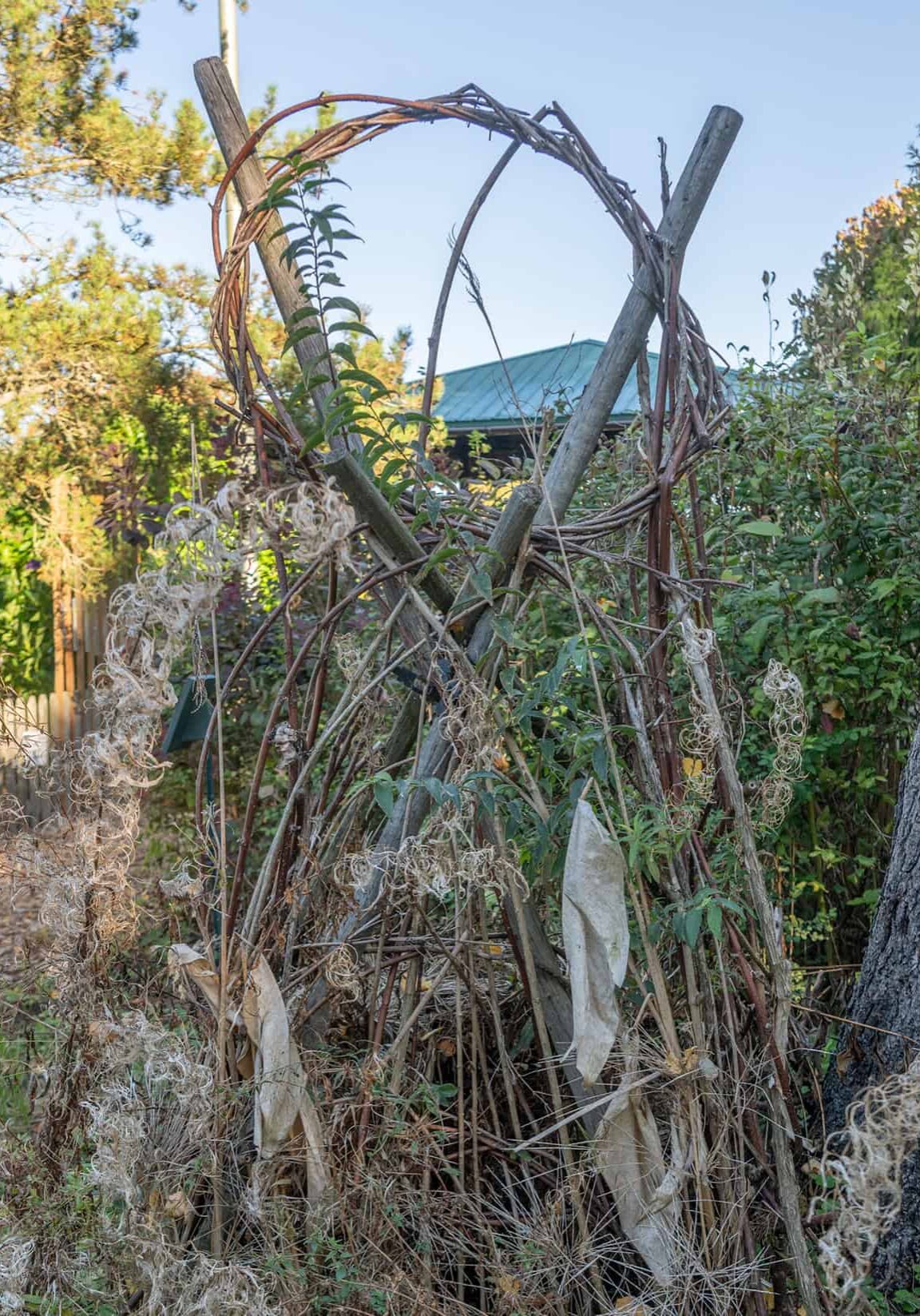 twig and vine structure in garden