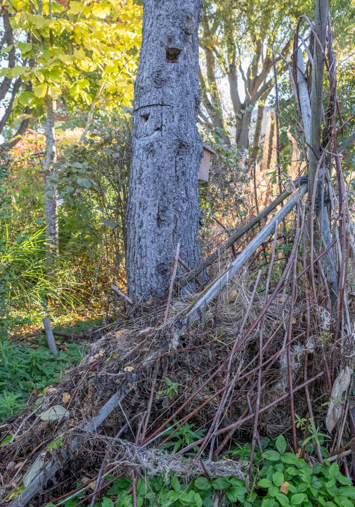 twig and brush compost structure