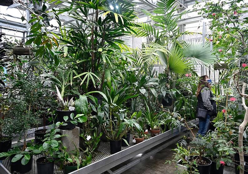 25-0207_Pic1a greenhouse with lots of green plans