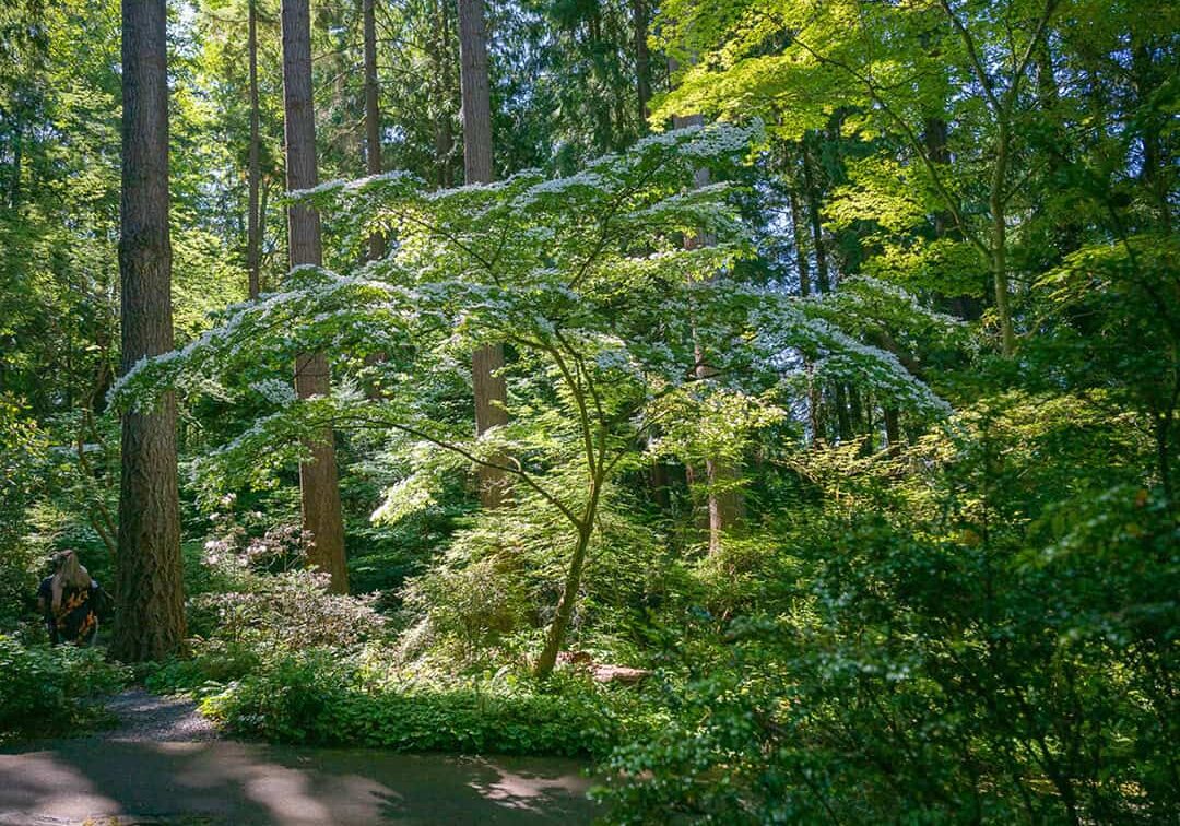 25-0207_Pic4b Elizabeth C. Miller Botanical Garden
Photo © Crowell Photography.com