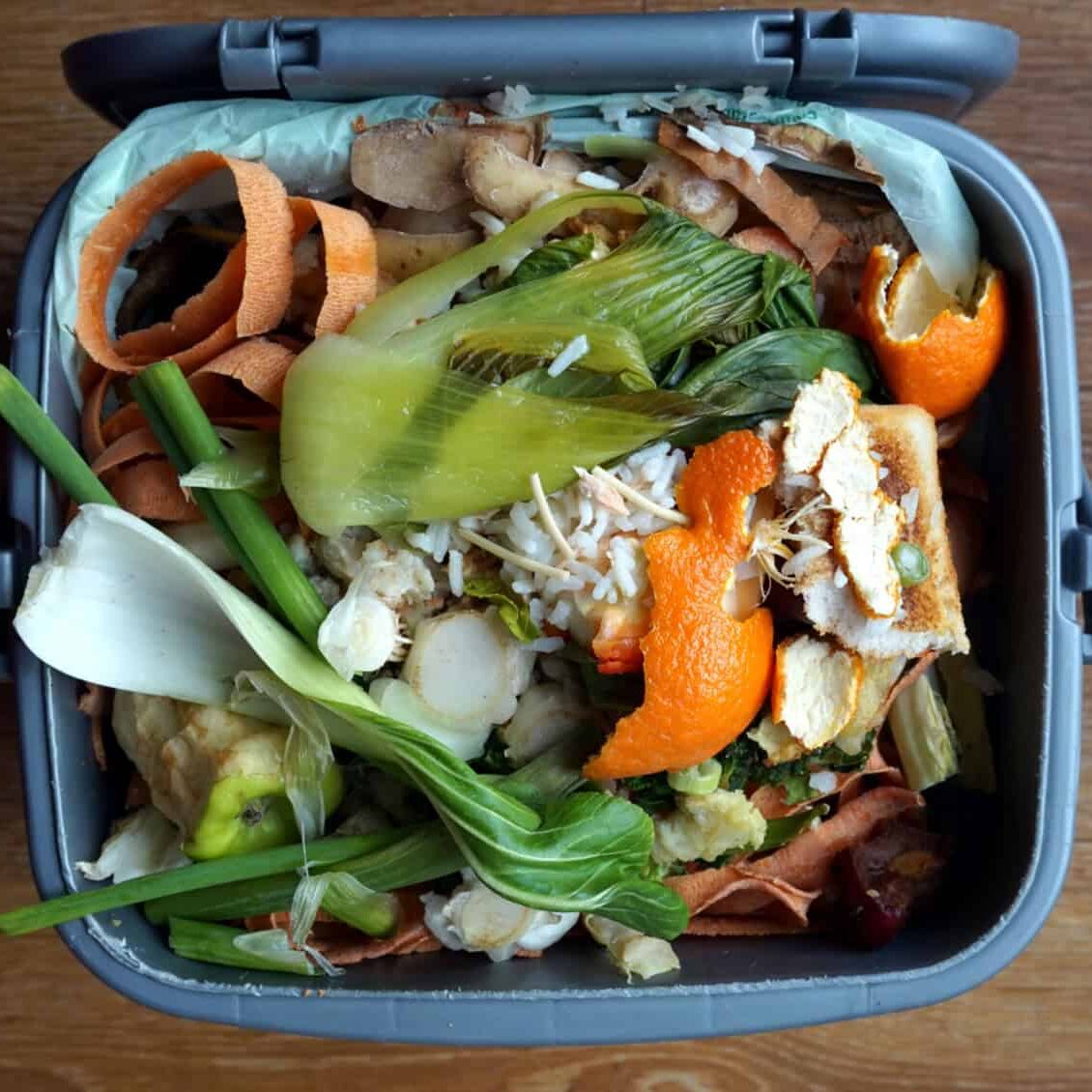 25-0405_Pic-4 When food is wasted, so is all the energy, time, and resources it takes to produce it. Those resources could have been saved. Our hard-earned money could have been saved. © Adobe Stock