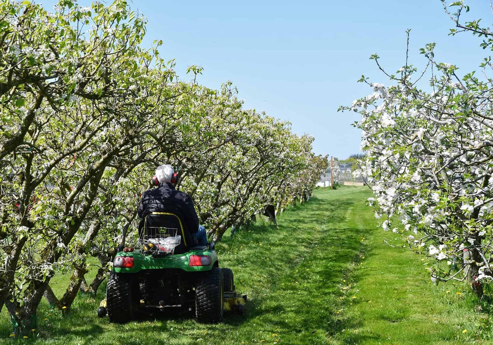 25-0620_Pic-5 The NW Fruit Garden encompasses six acres of fruit trees, berry bushes and other fruit-bearing plants, along with nut trees. Altogether, the garden features 606 plants – from peach and persimmon to apples and Asian pears. Credit: Used with permission © Scott Terrell