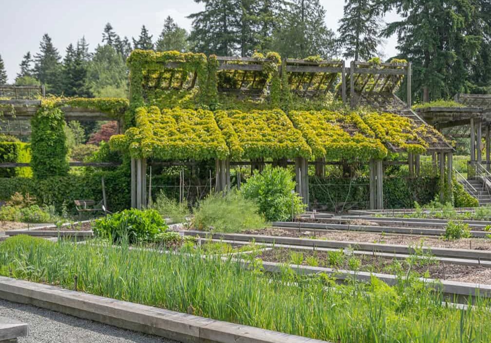 building in garden with plant covered roof