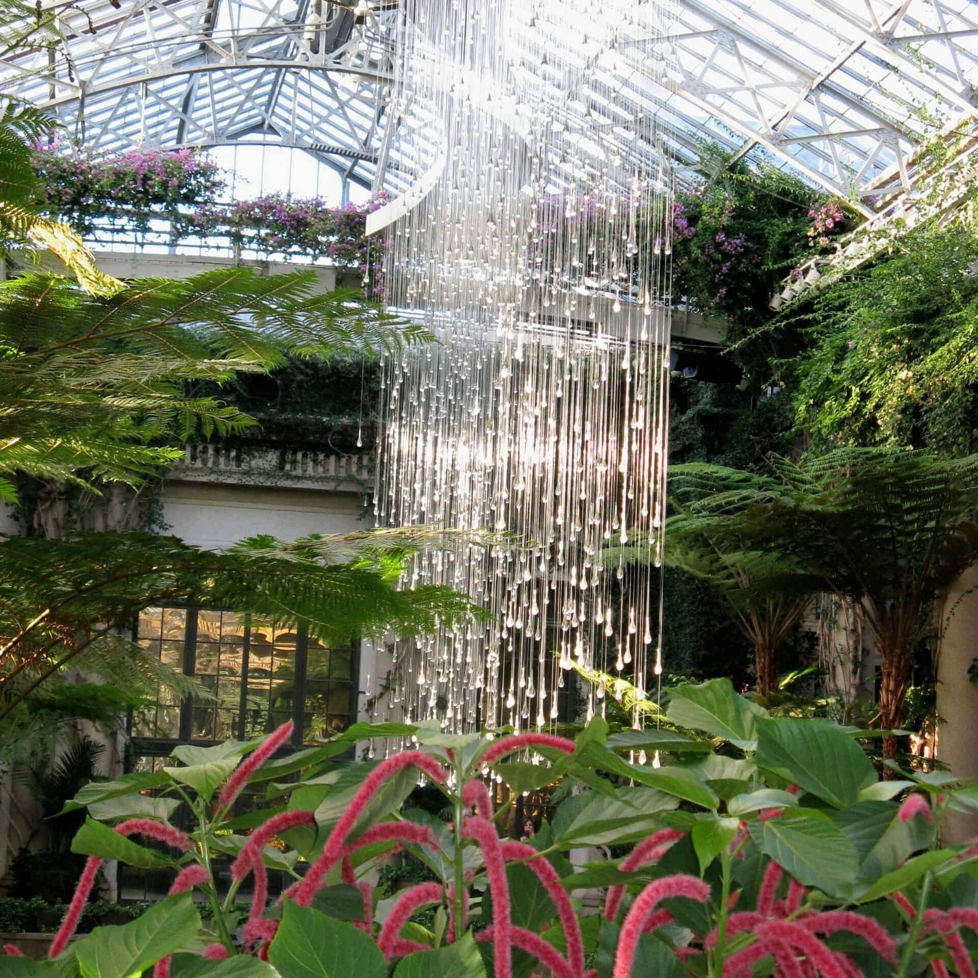 waterfall in greenhouse