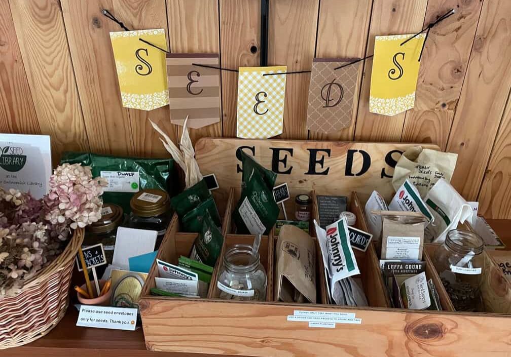 seed packets and jars in wood box