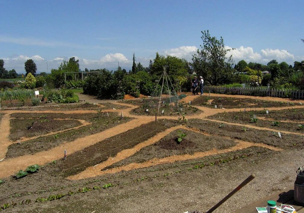 garden marked out in dirt field