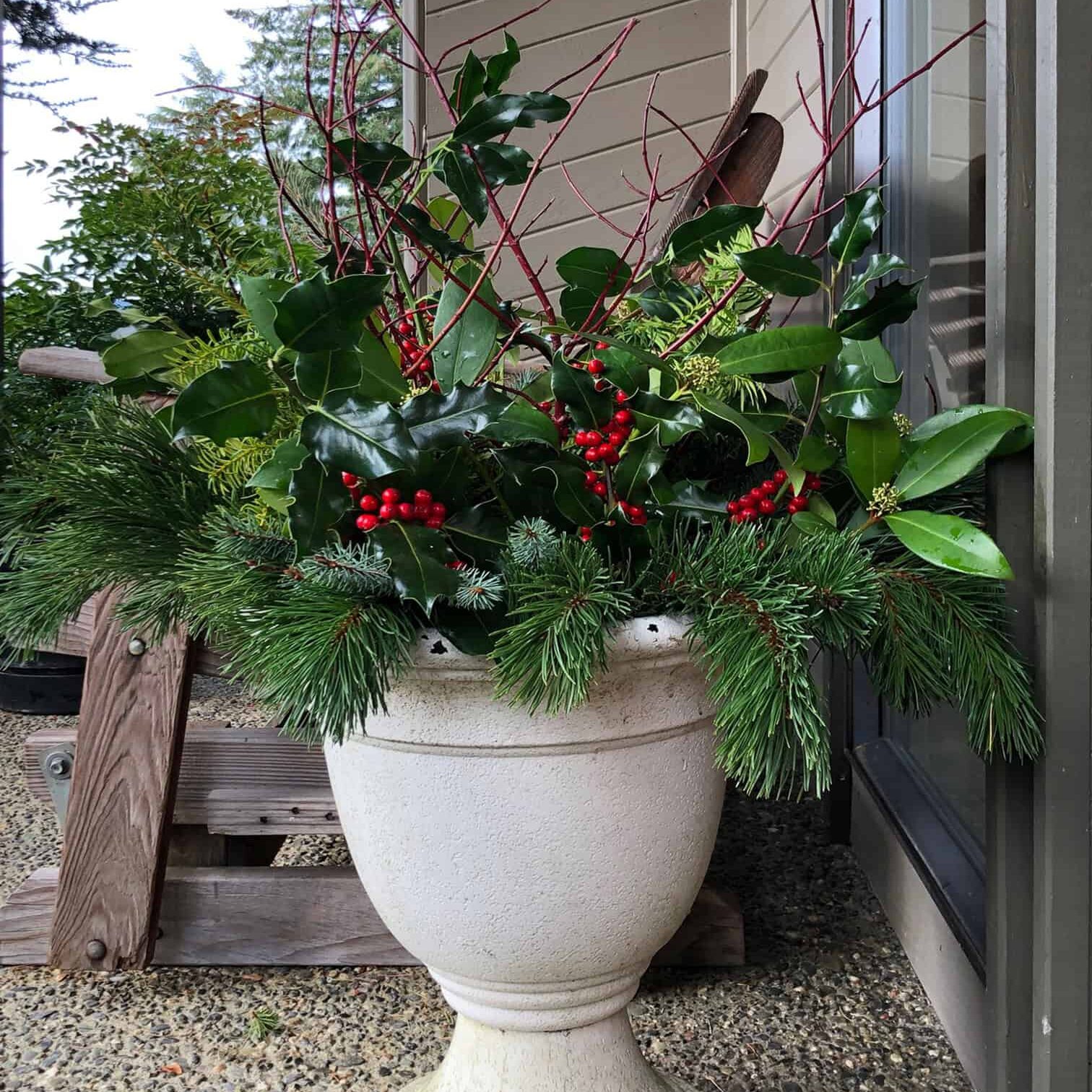 pot on porch with evergreen and holly branches